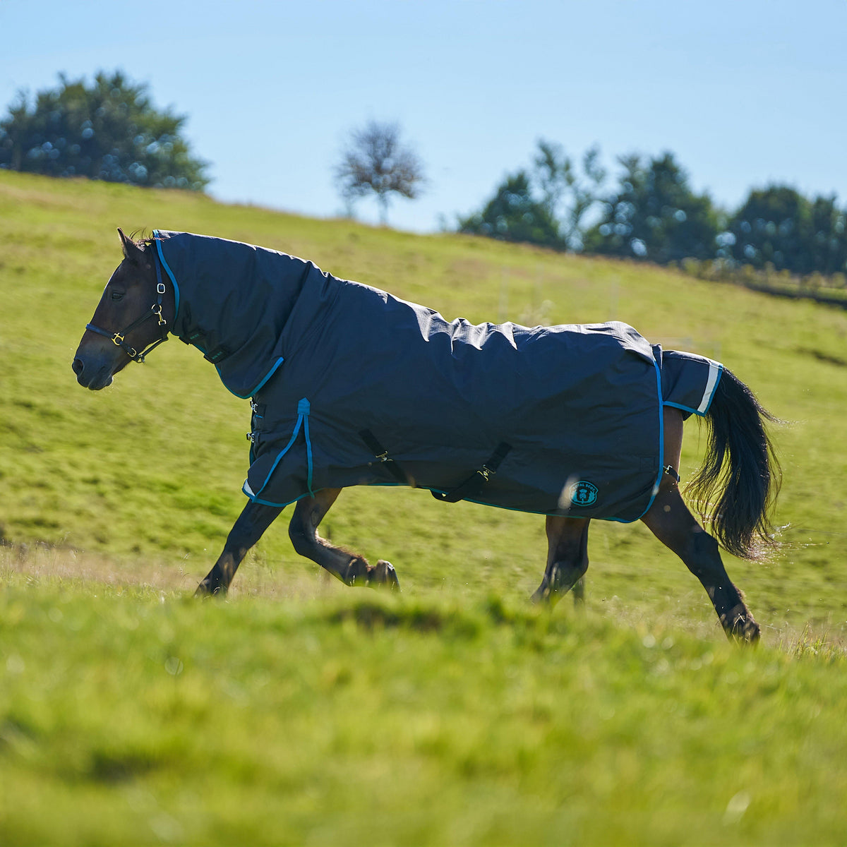 Original 200g Mediumweight Combo Neck Turnout Rug Black/Ocean