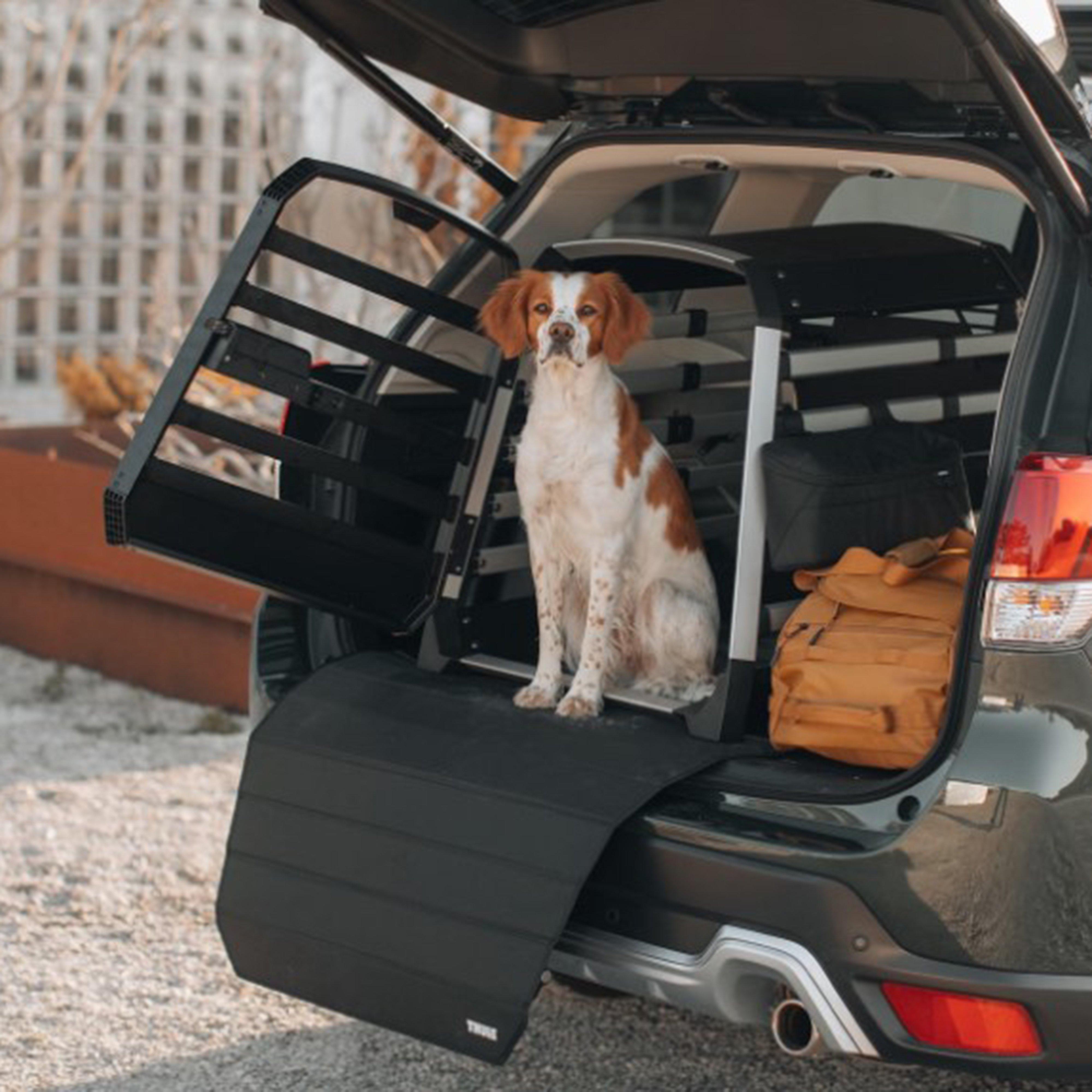 Allax Car Dog Crate Black XS