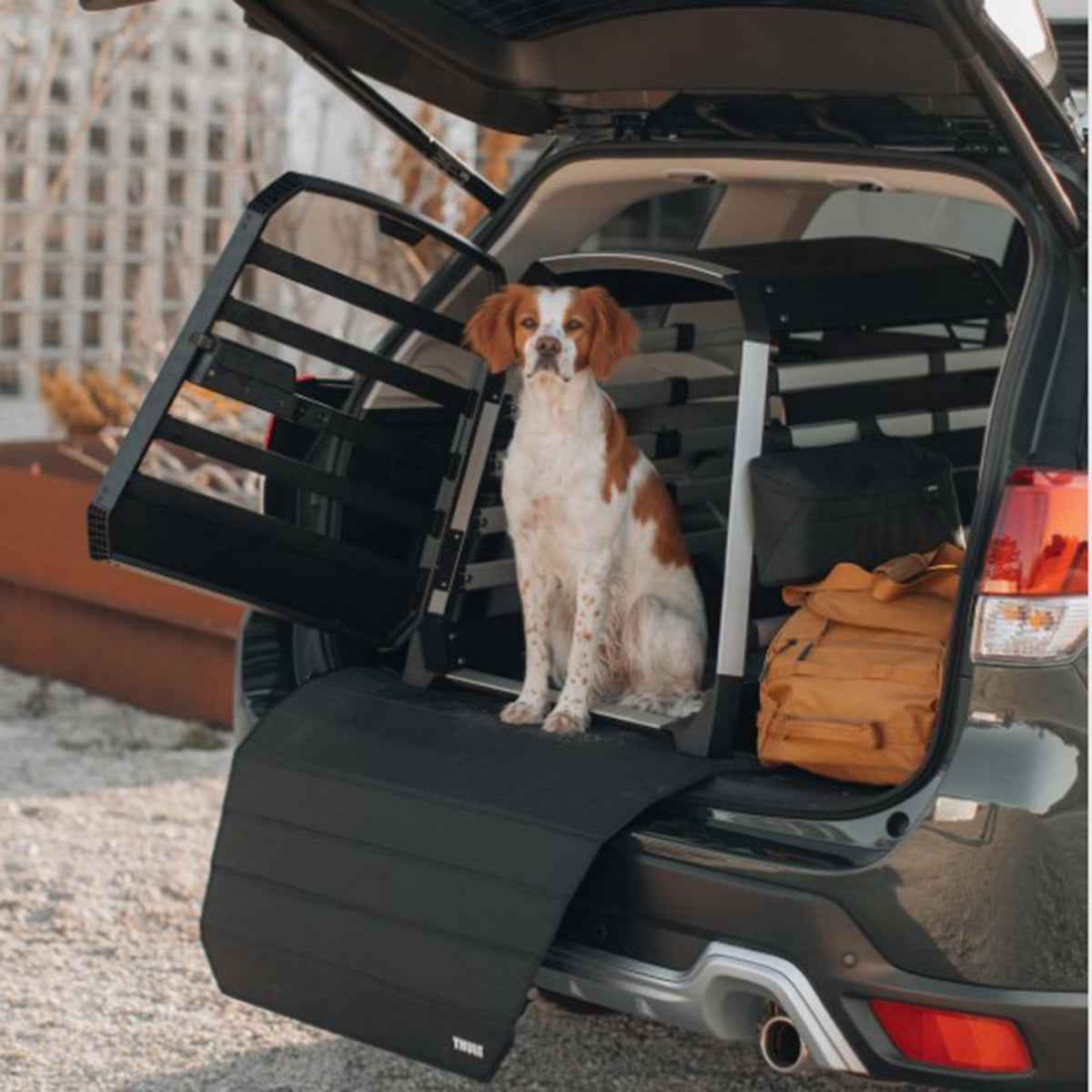 Bumper Protector Black Standard