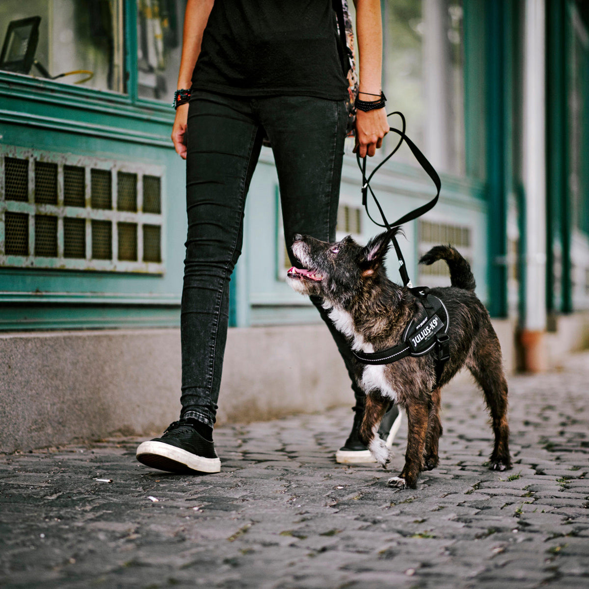 IDC Powerharness Black Mini-Mini