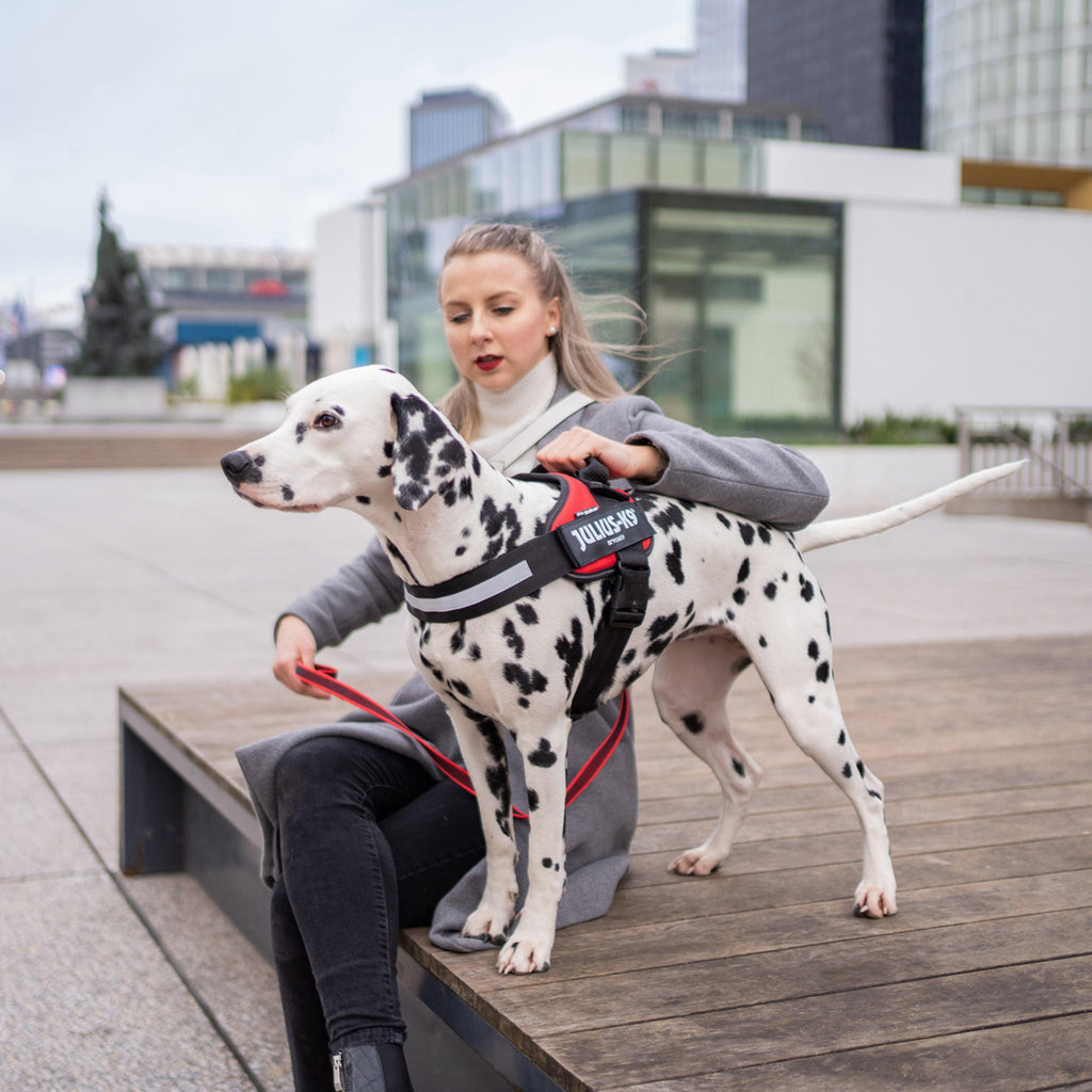 IDC Powerharness Red Size 0