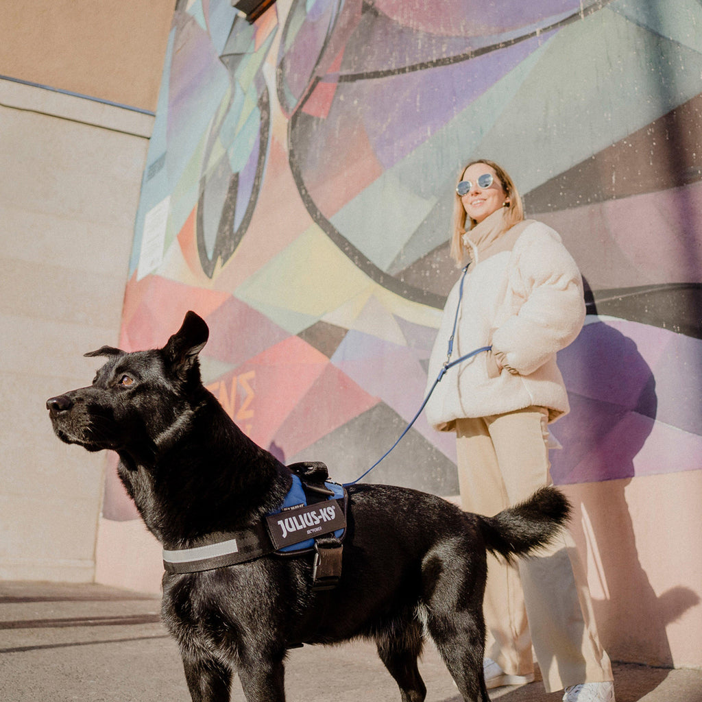 IDC Powerharness Blue Size 0