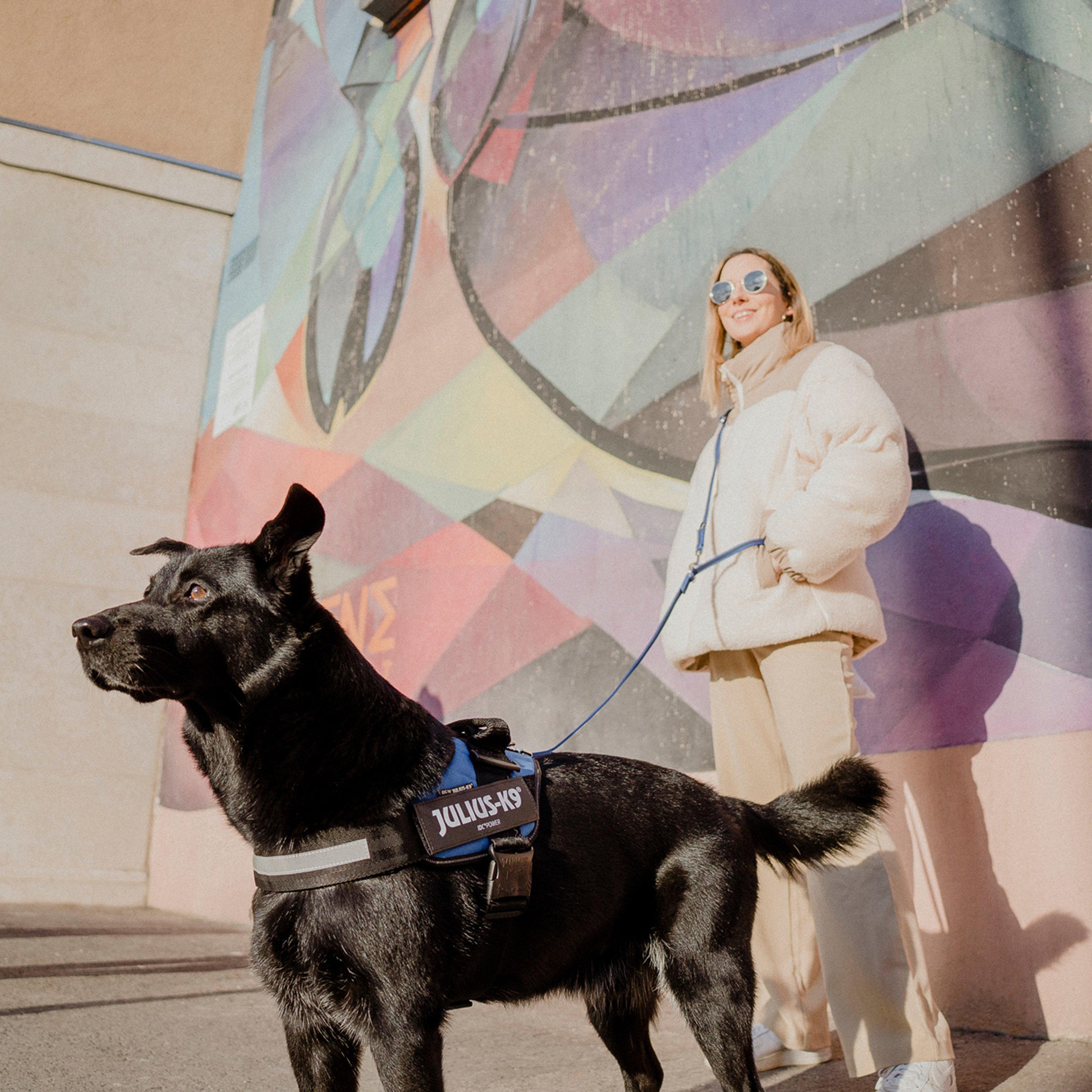 IDC Powerharness Blue Size 0