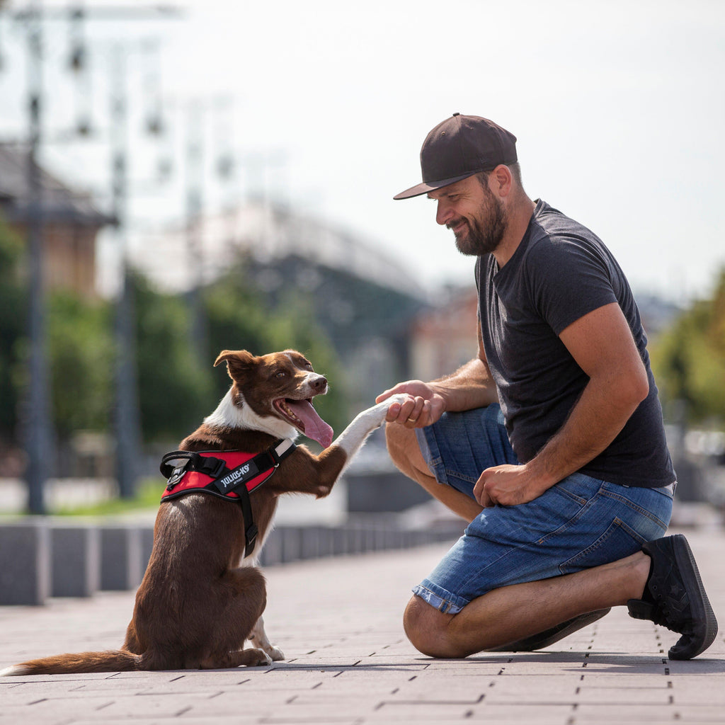 IDC Powerharness Red Size 1