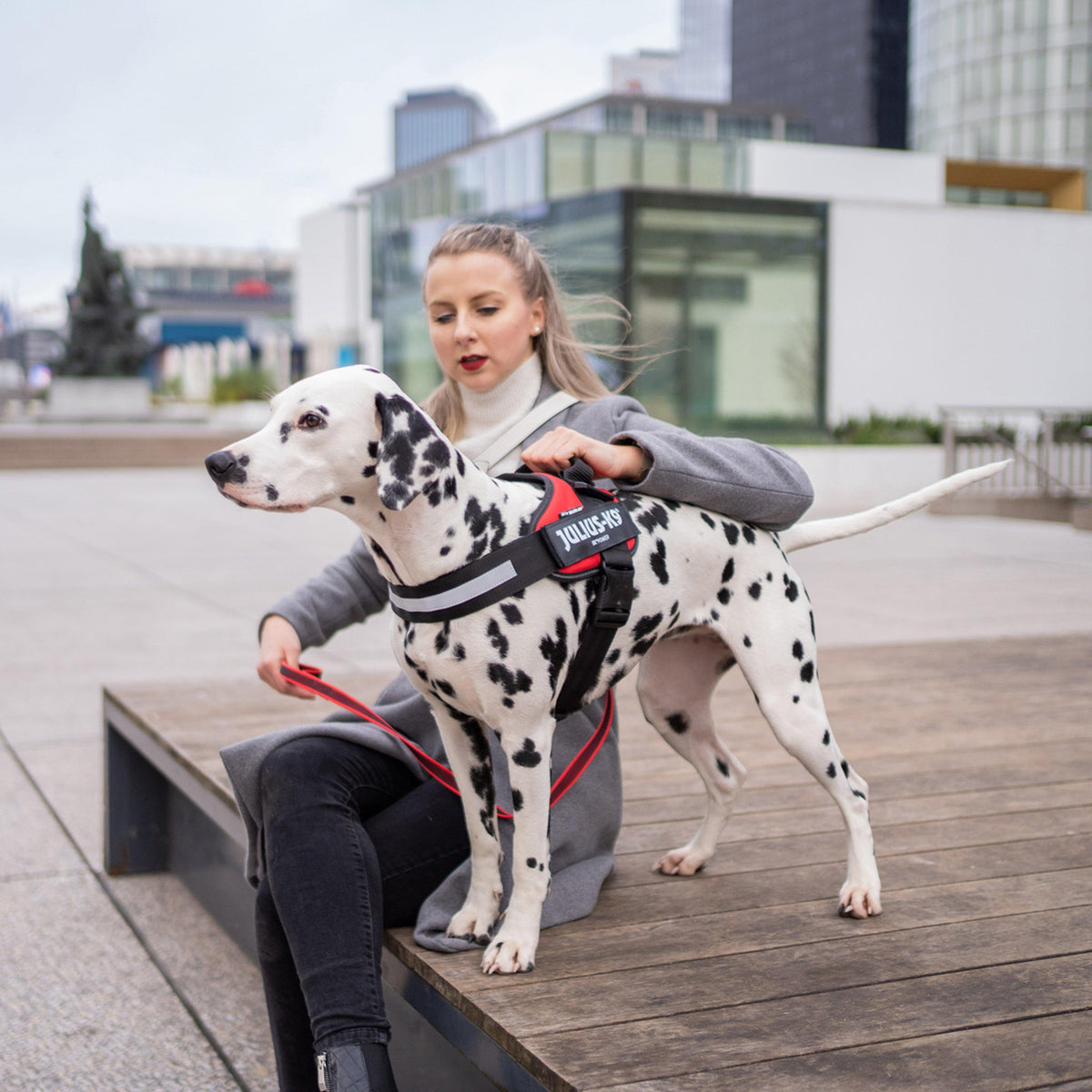 IDC Powerharness Red Size 1