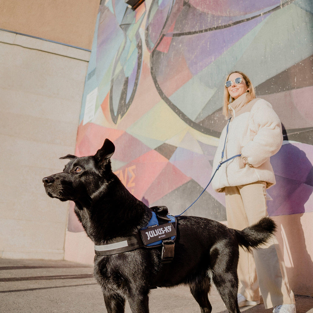 IDC Powerharness Blue Size 1