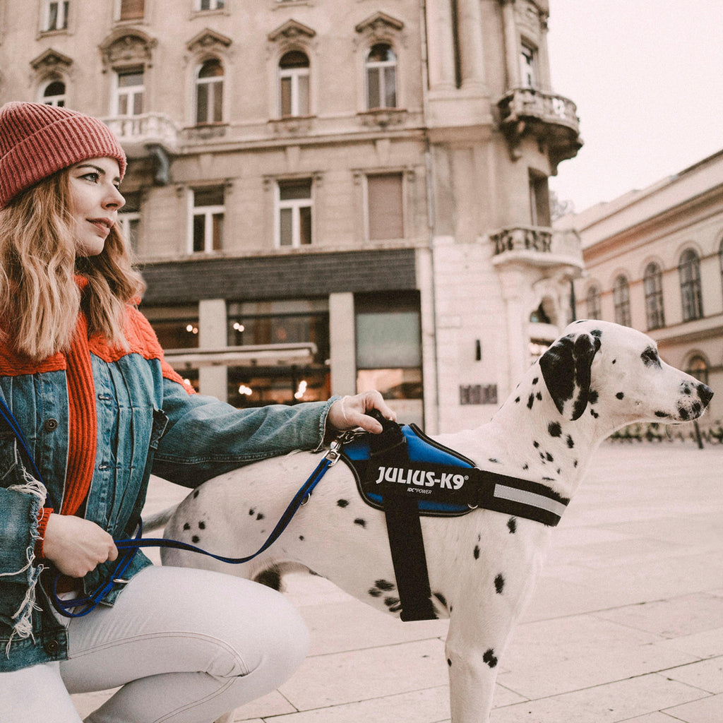 IDC Powerharness Blue Size 1