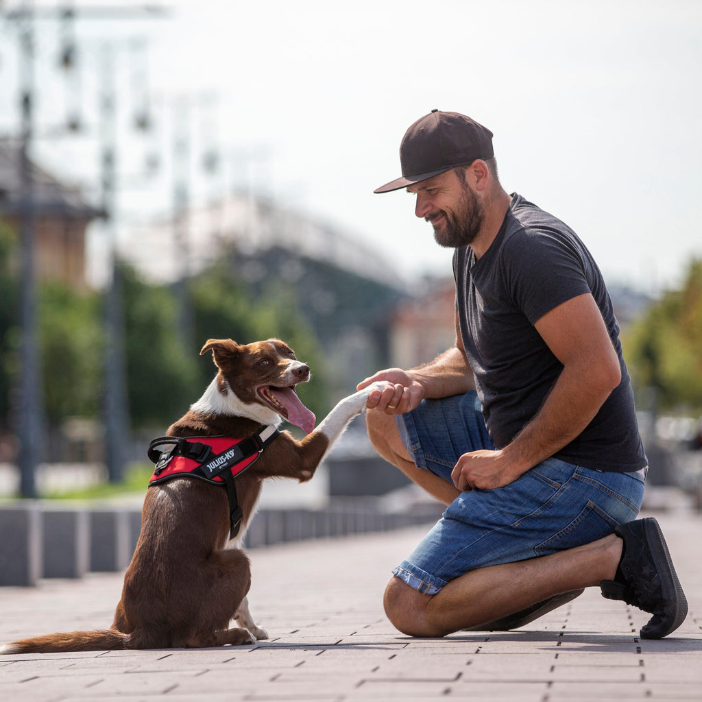 IDC Powerharness Red Size 2