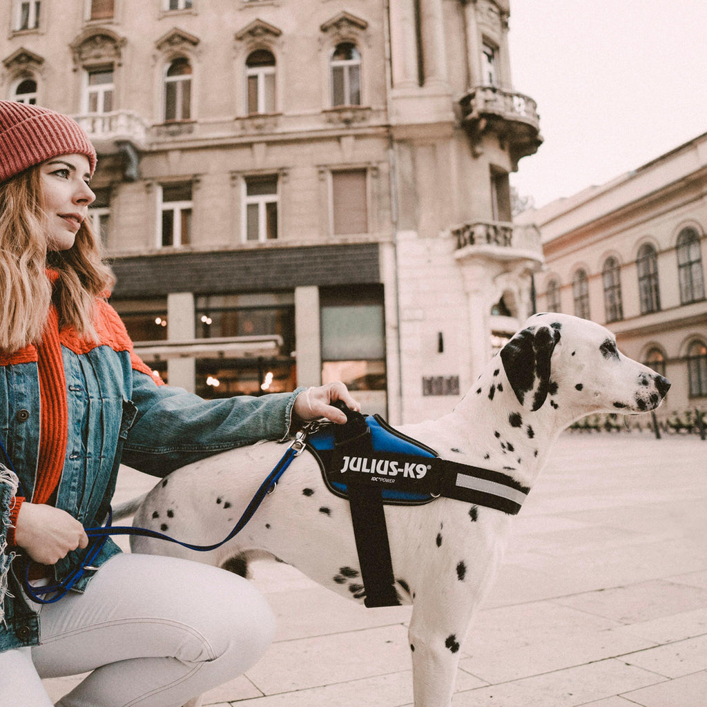 IDC Powerharness Blue Size 2