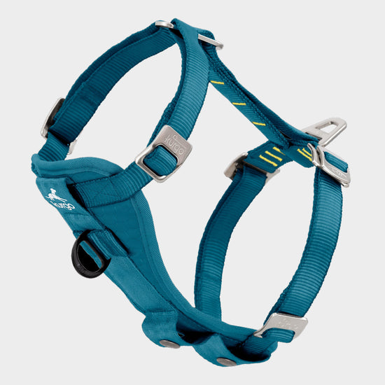 Enhanced Strength Tru-Fit Dog Car Harness Blue