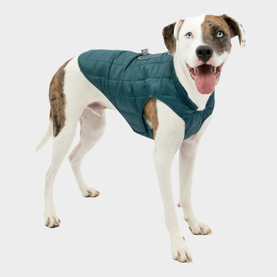 Loft Dog Jacket Blue/Sea