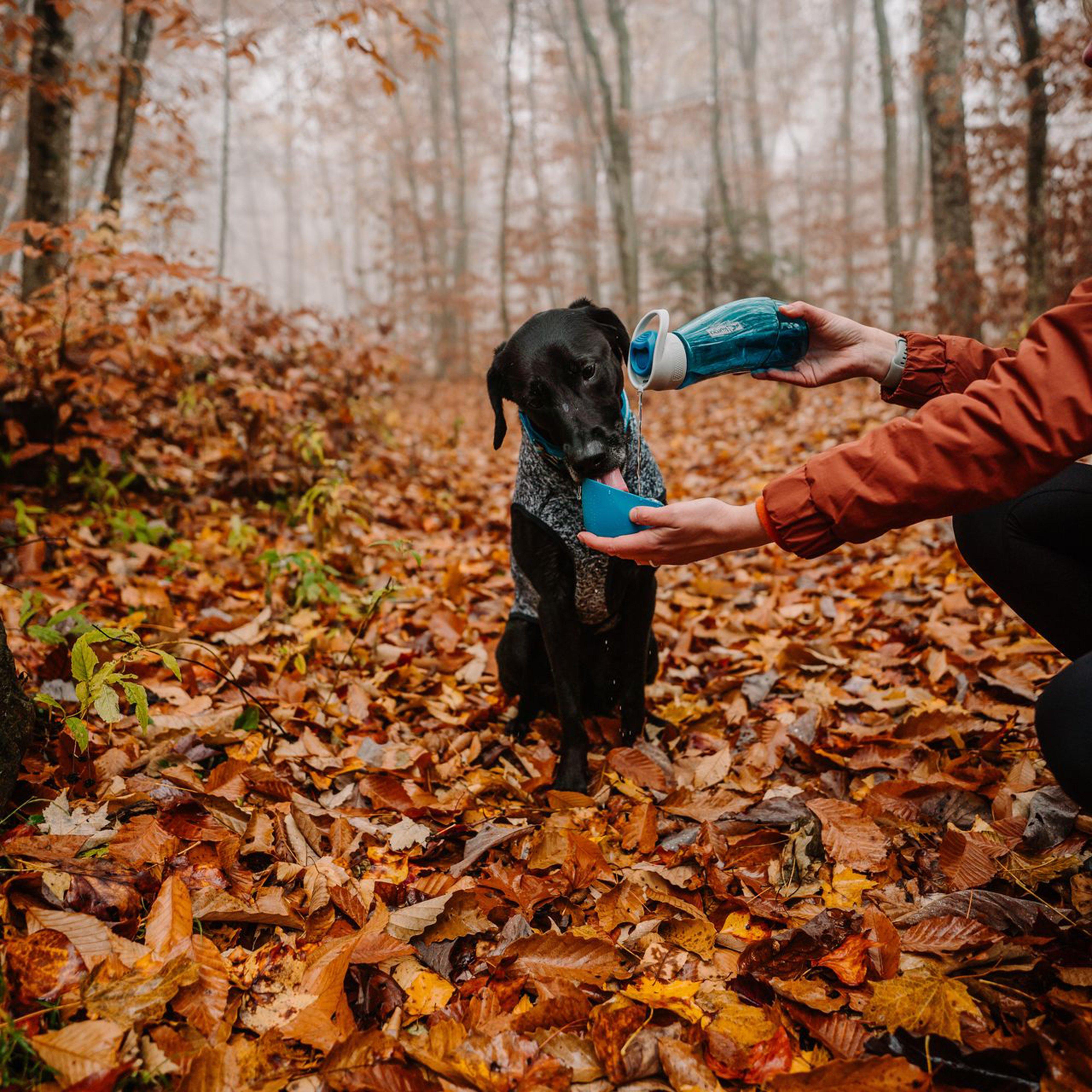 Gourd Water Bottle & Bowl Blue