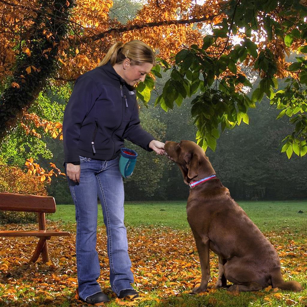 Go Stuff It Treat Bag Blue