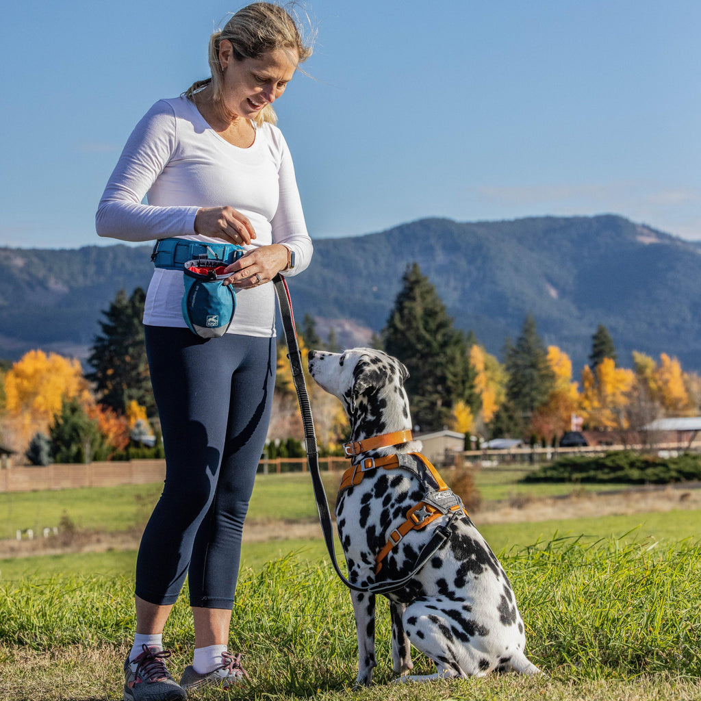 Go Stuff It Treat Bag Blue
