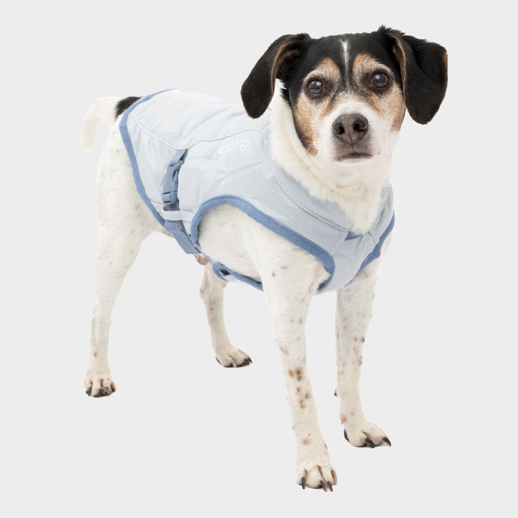 Dog Core Cooling Vest Blue