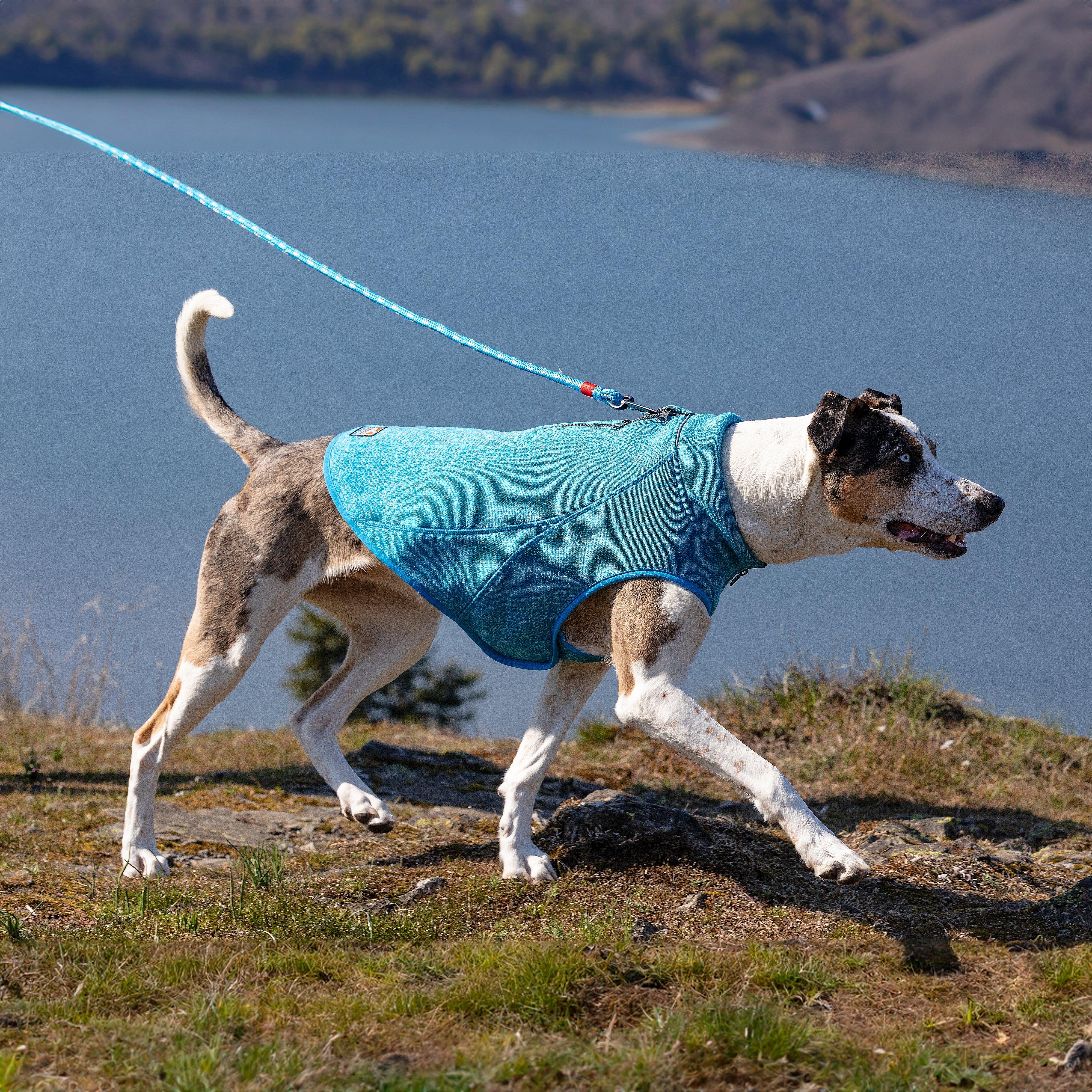 Core Sweater Heather Blue