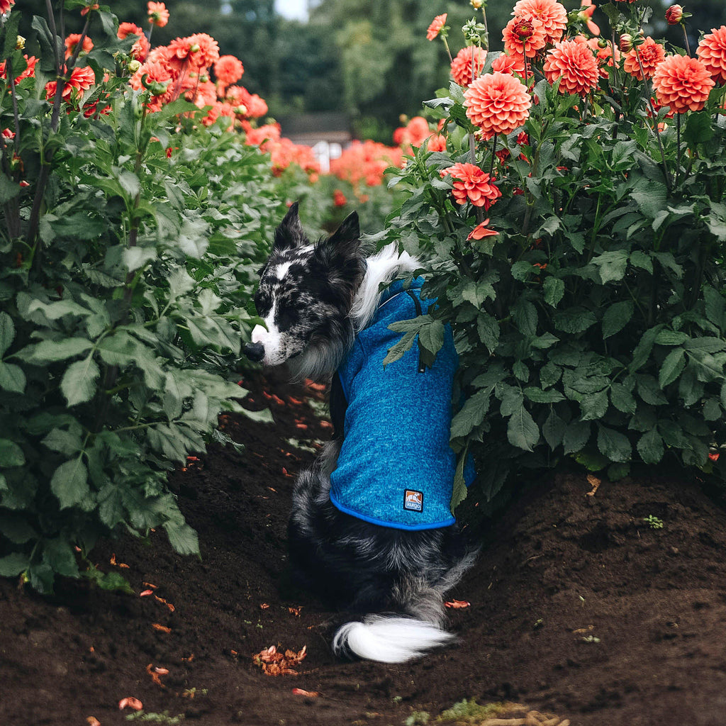 Core Sweater Heather Blue
