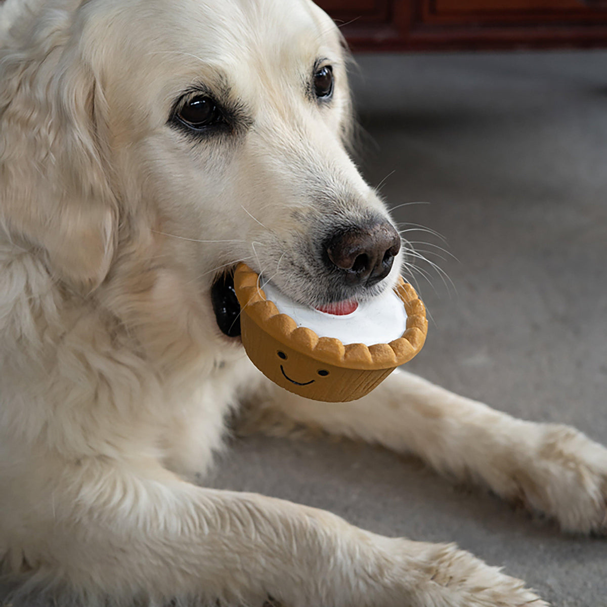 Cherry Bakewell Latex Dog Toy