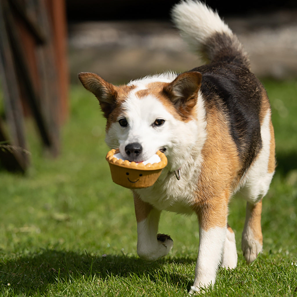 Cherry Bakewell Latex Dog Toy