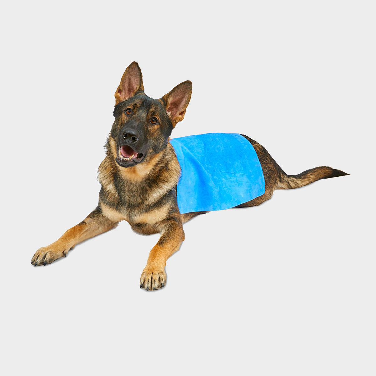 Cooling Pet Towel