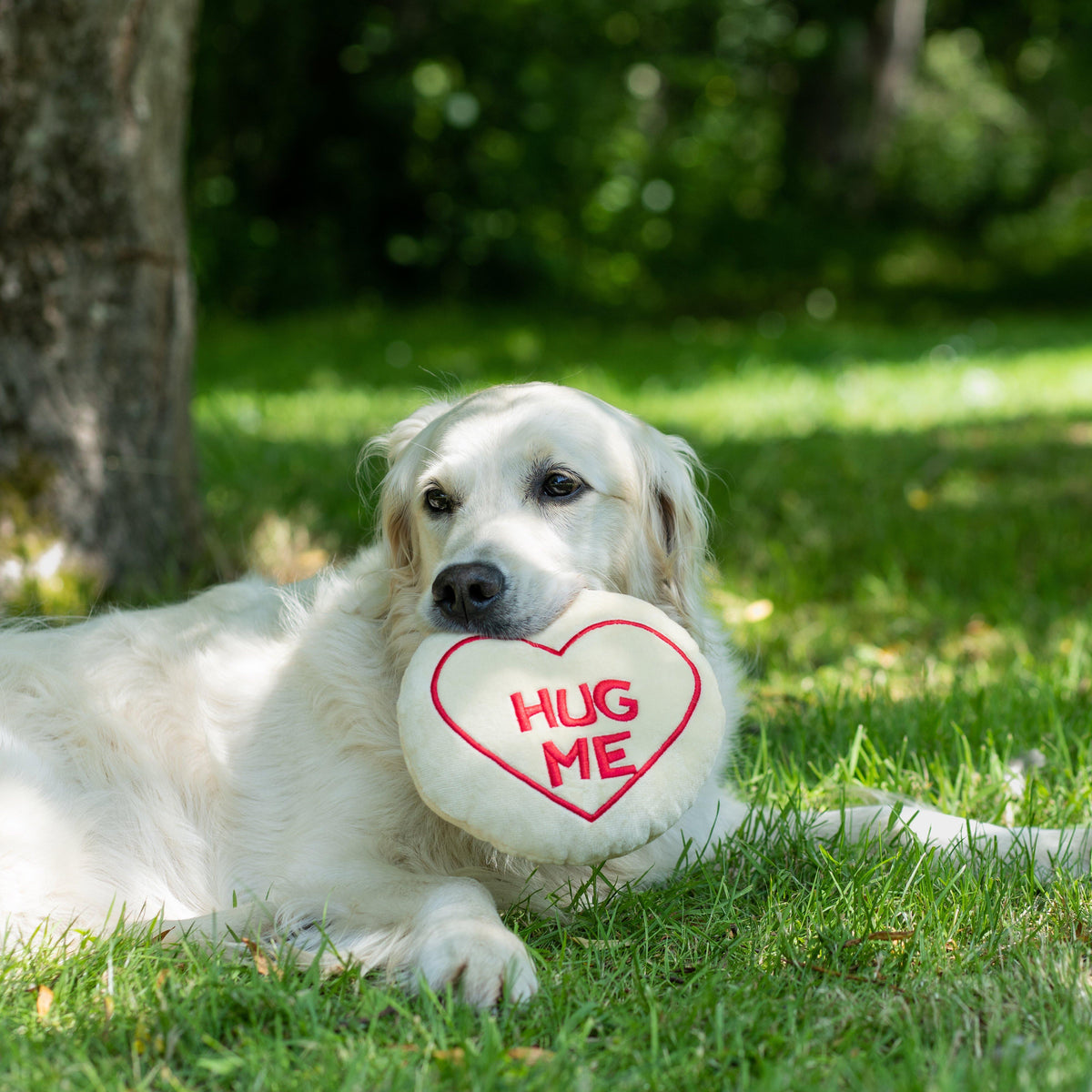 Hug Me Plush Dog Toy