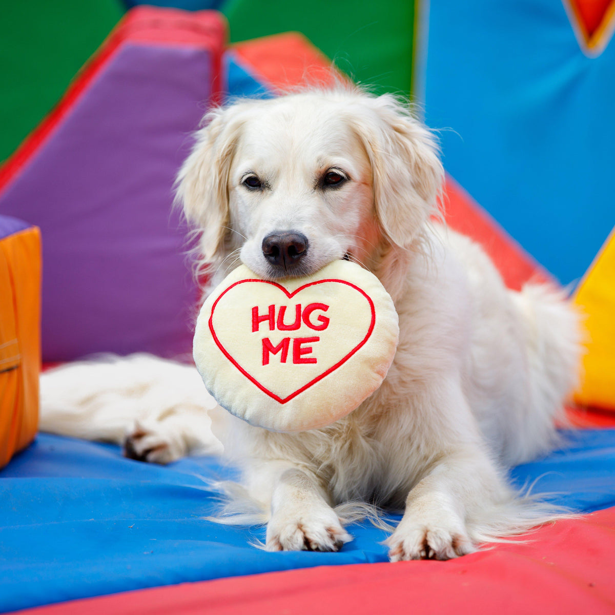 Hug Me Plush Dog Toy