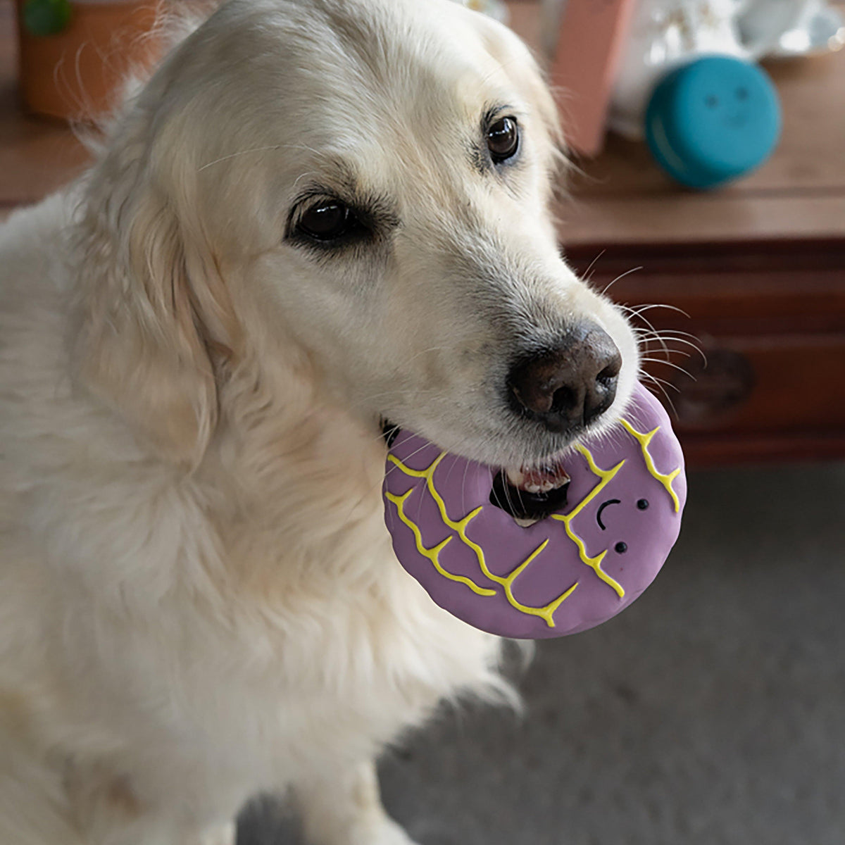 Iced Ring Biscuit Latex Dog Toy
