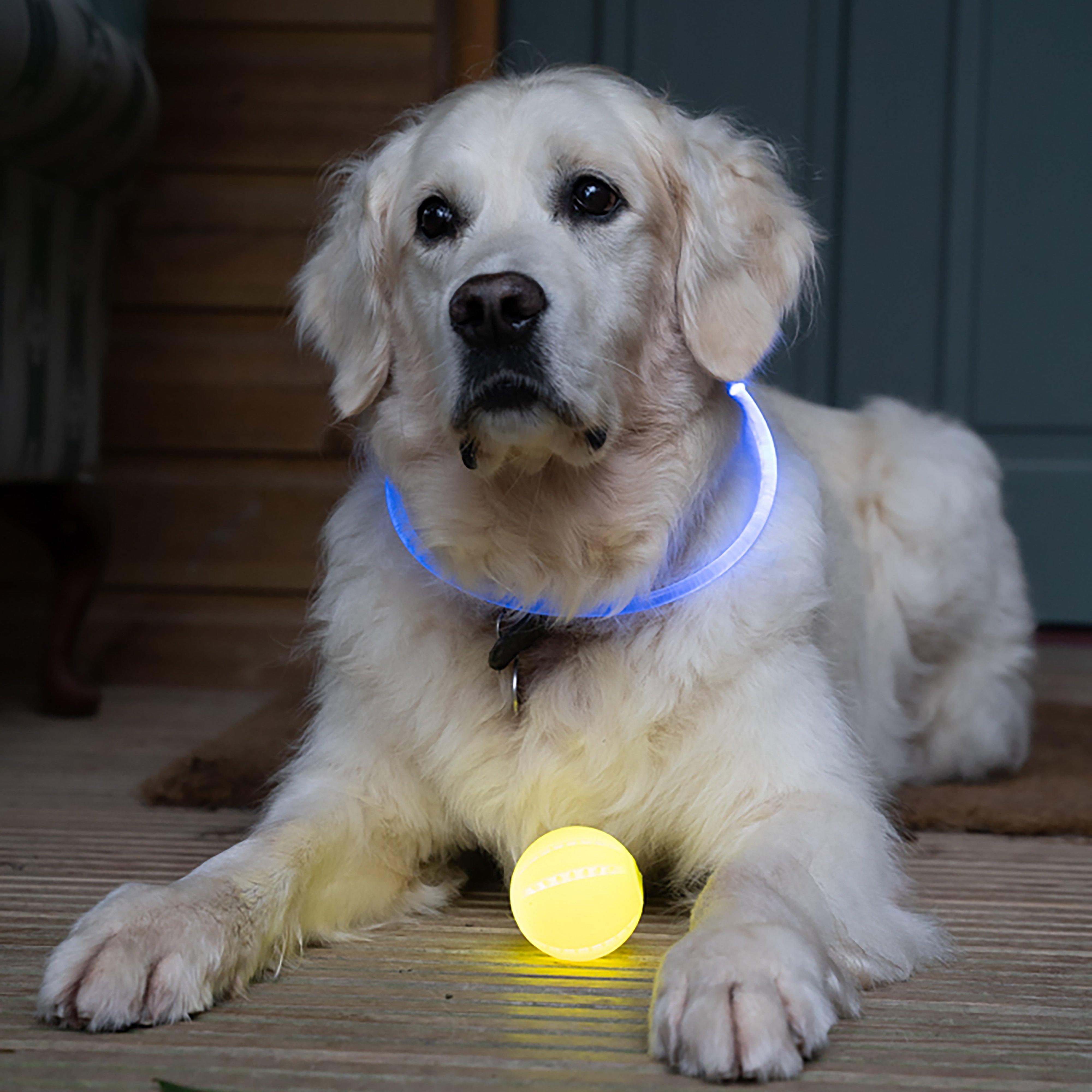 Outdoor Paws USB Rechargeable Glow In The Dark Dog Ball