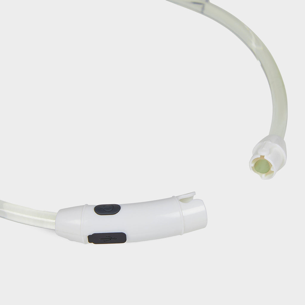 Outdoor Paws USB Rechargeable LED Ring Dog Collar