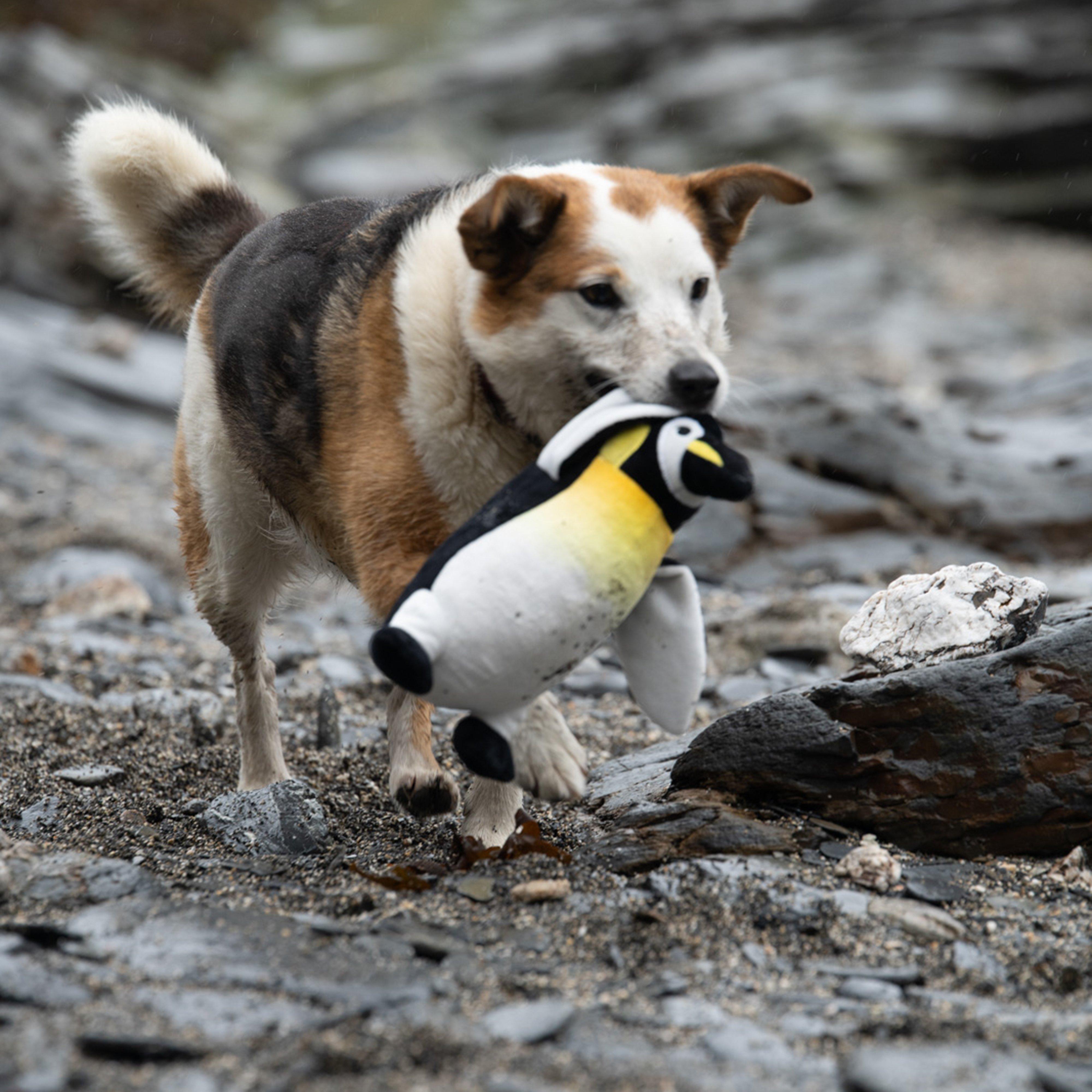 Planet Panuk Penguin Plush Dog Toy
