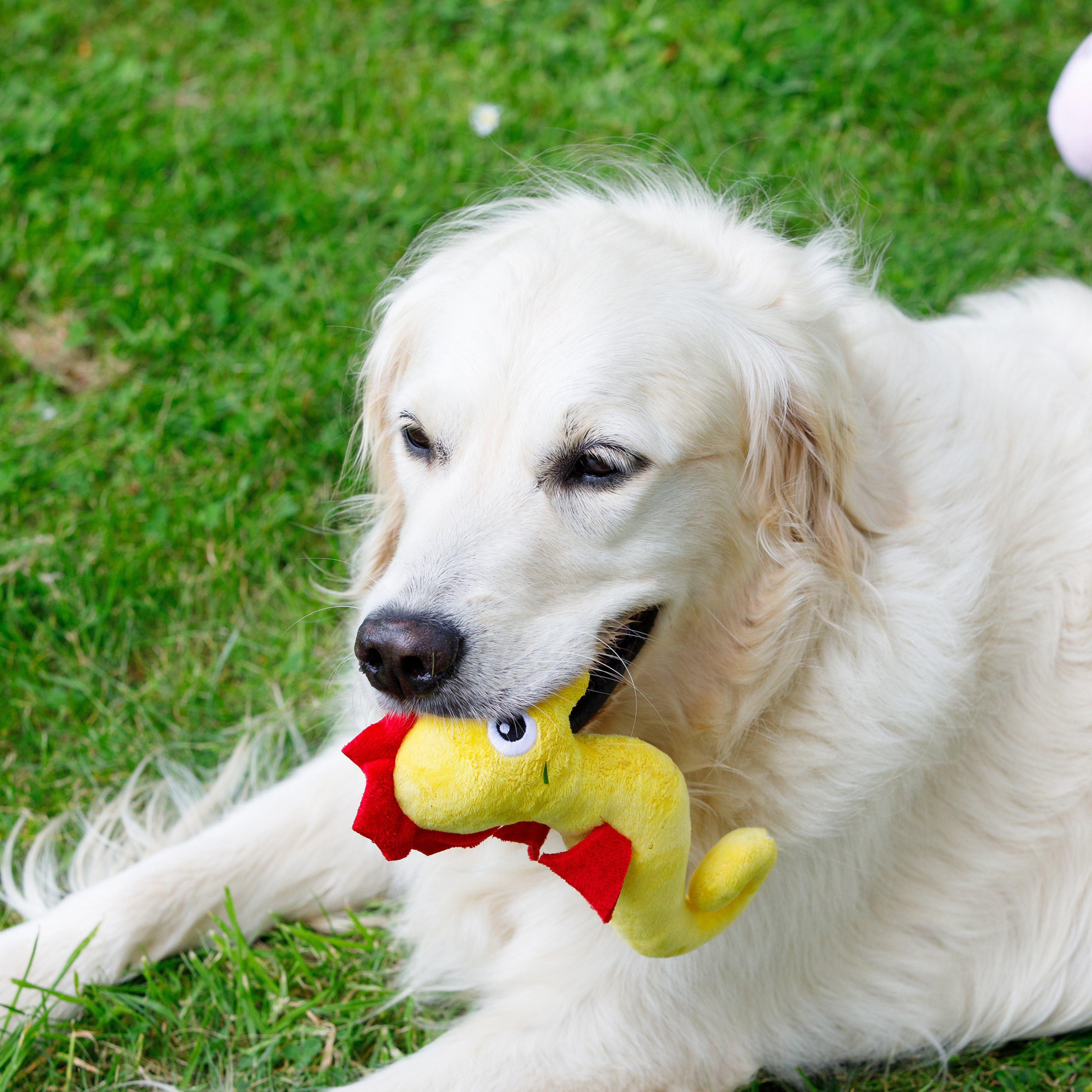 Planet Sid Seahorse Plush Dog Toy