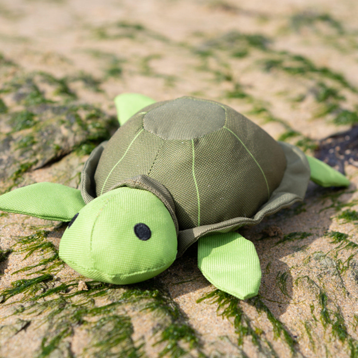 Planet Tessie Turtle Plush Dog Toy