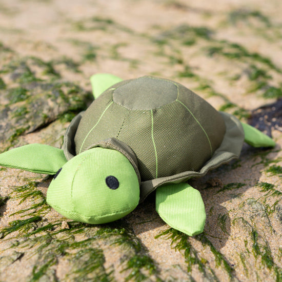 Planet Tessie Turtle Plush Dog Toy