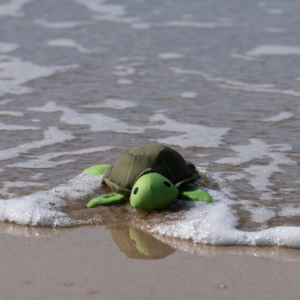 Planet Tessie Turtle Plush Dog Toy