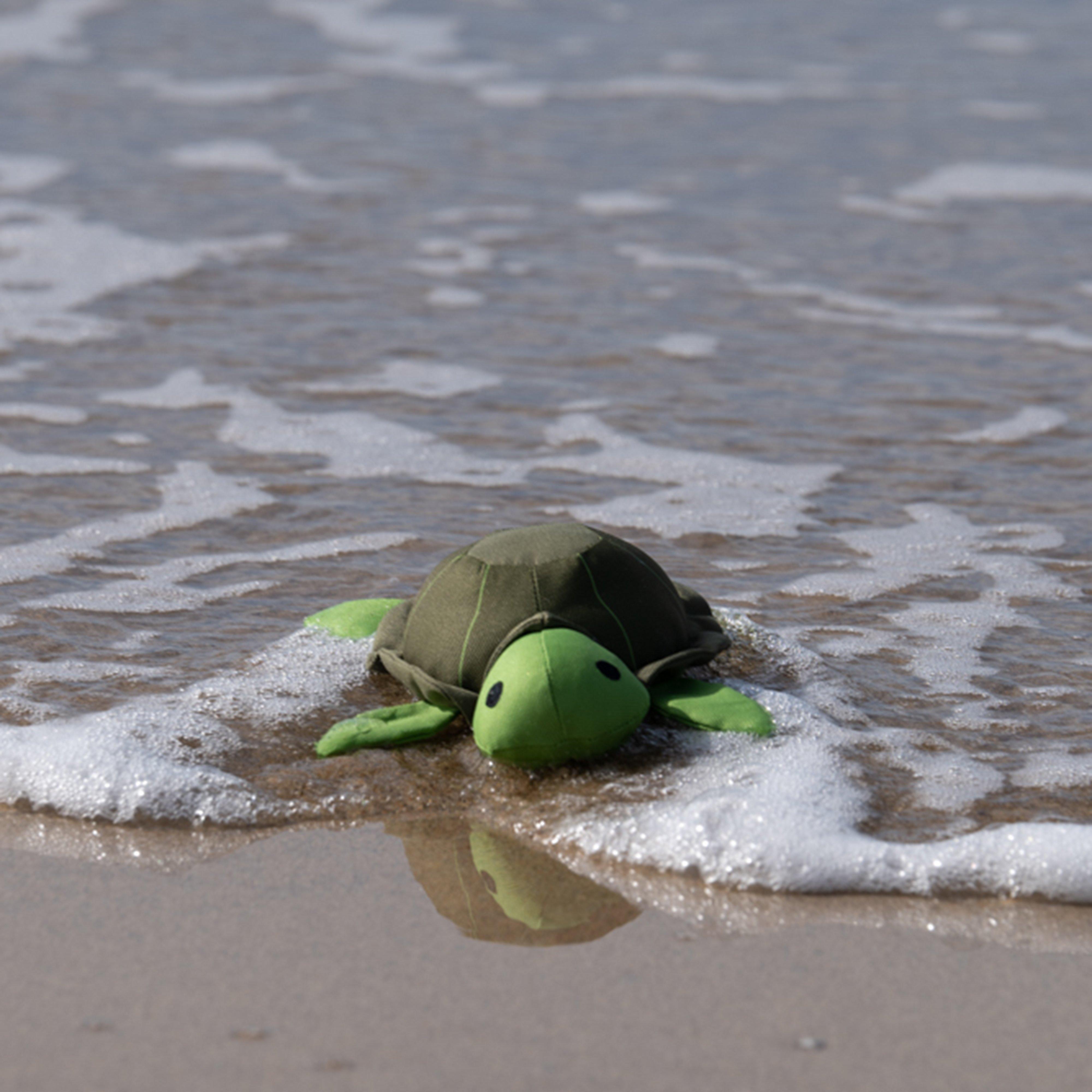 Planet Tessie Turtle Plush Dog Toy