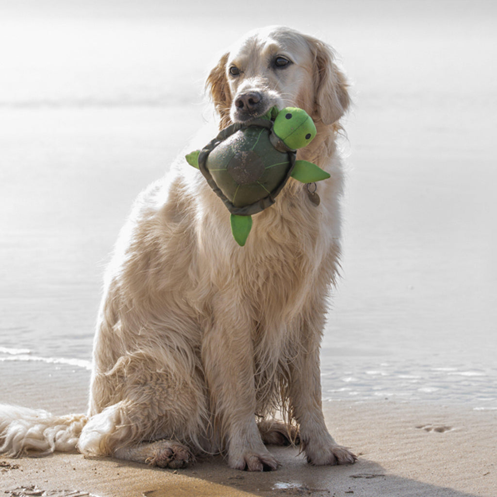 Planet Tessie Turtle Plush Dog Toy