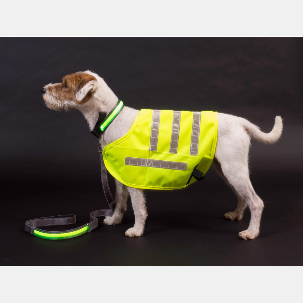 Reflective Flashing Dog Collar Yellow M