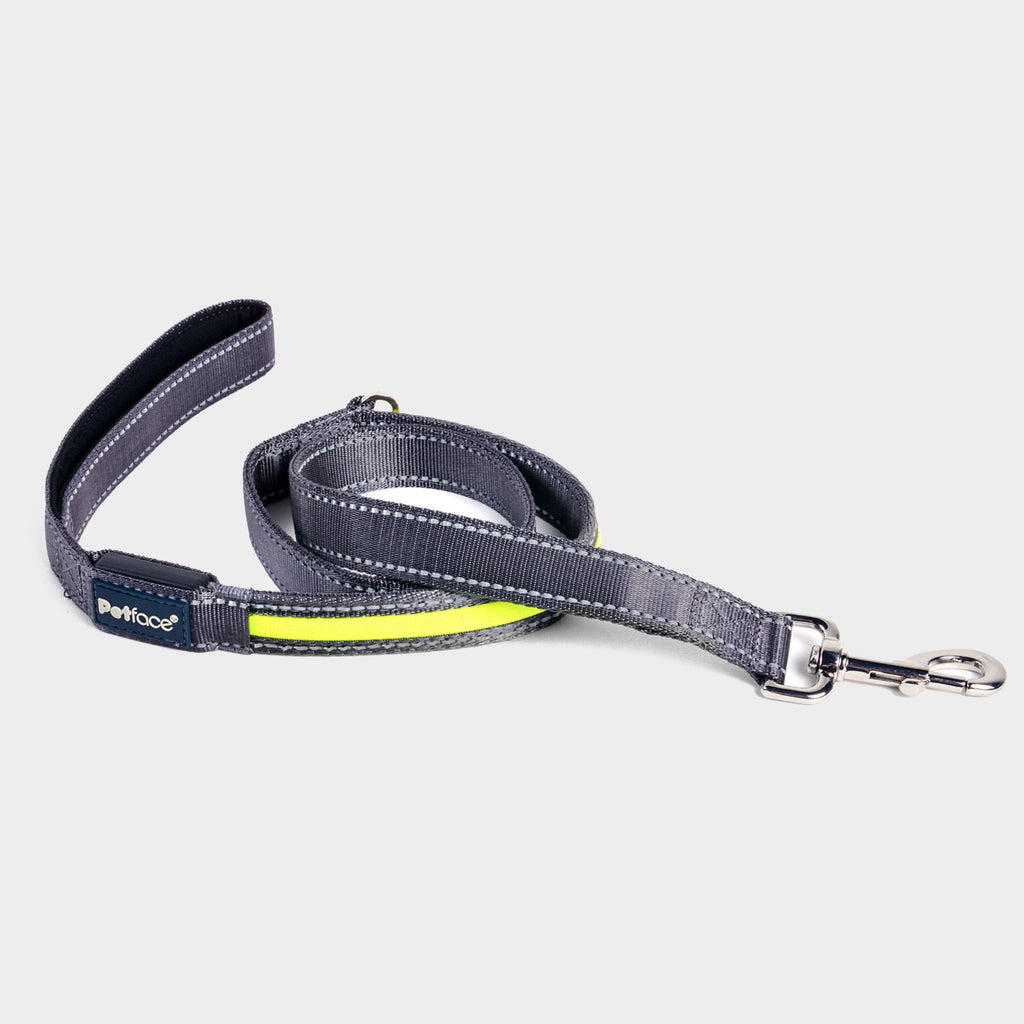 Reflective Flashing Dog Lead Yellow