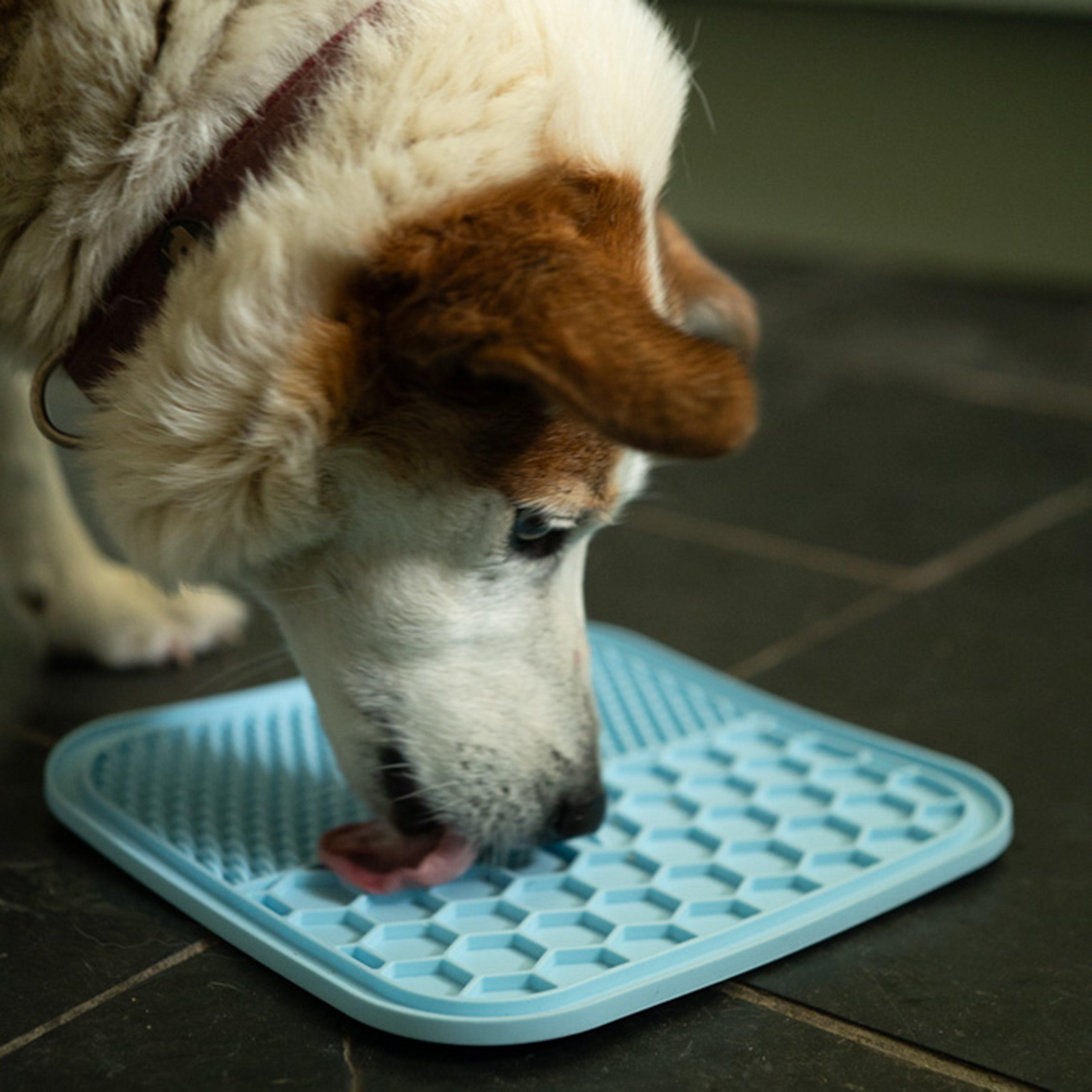 Silicone Pet Treat Mat 2 Pack