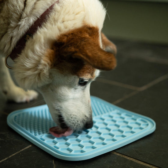 Silicone Pet Treat Mat 2 Pack