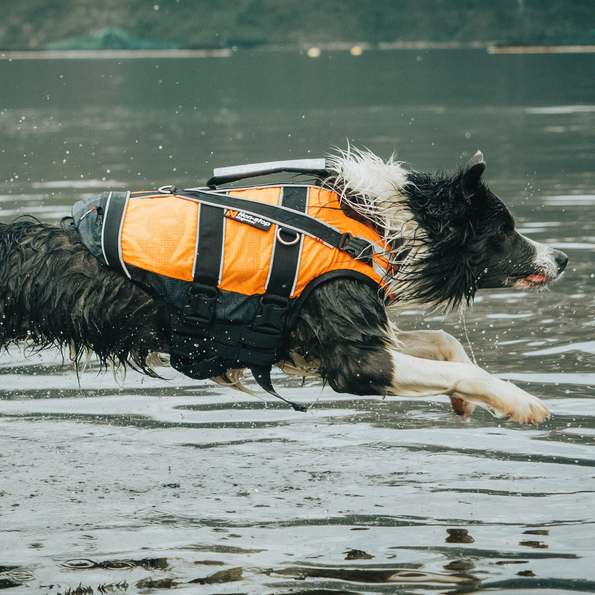 Safe Life Jacket 2.0 Orange/Black Size 5/6