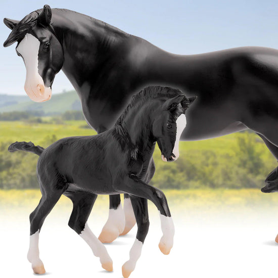 Nistar Blazing Kansas LOM & GTF Blazing Ethel