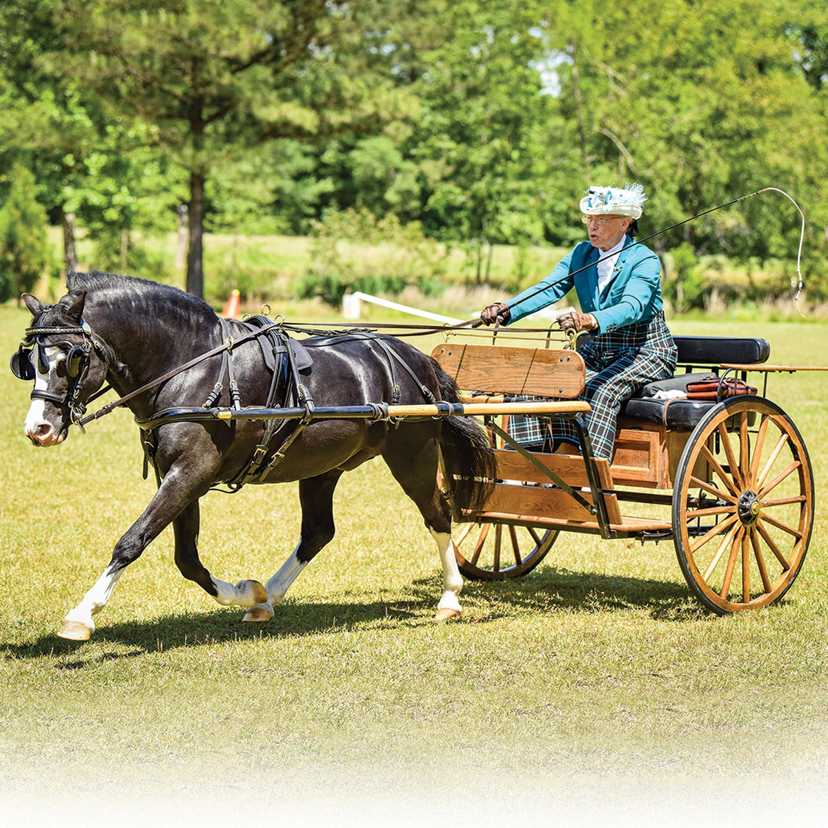 Nistar Blazing Kansas LOM & GTF Blazing Ethel