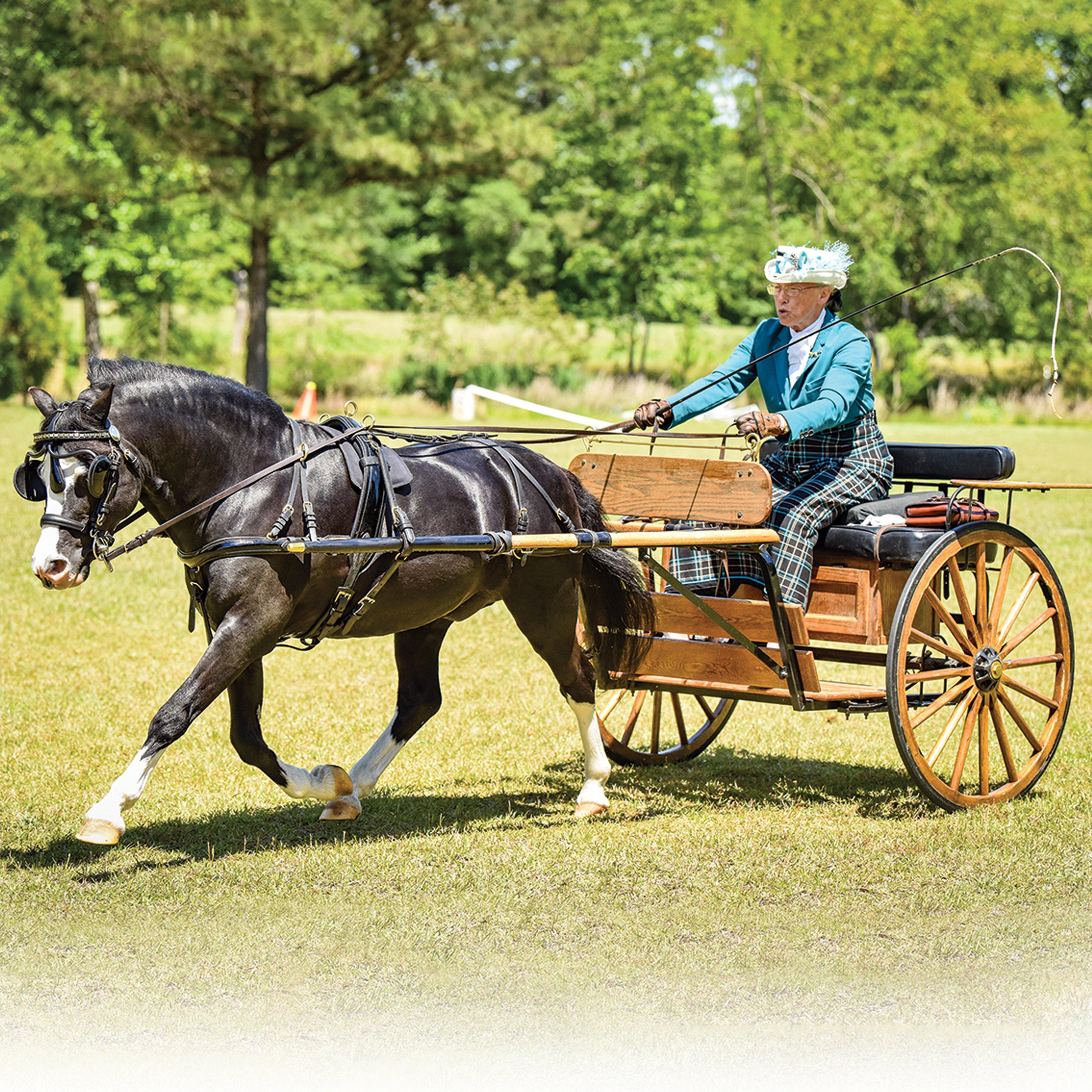 Nistar Blazing Kansas LOM & GTF Blazing Ethel