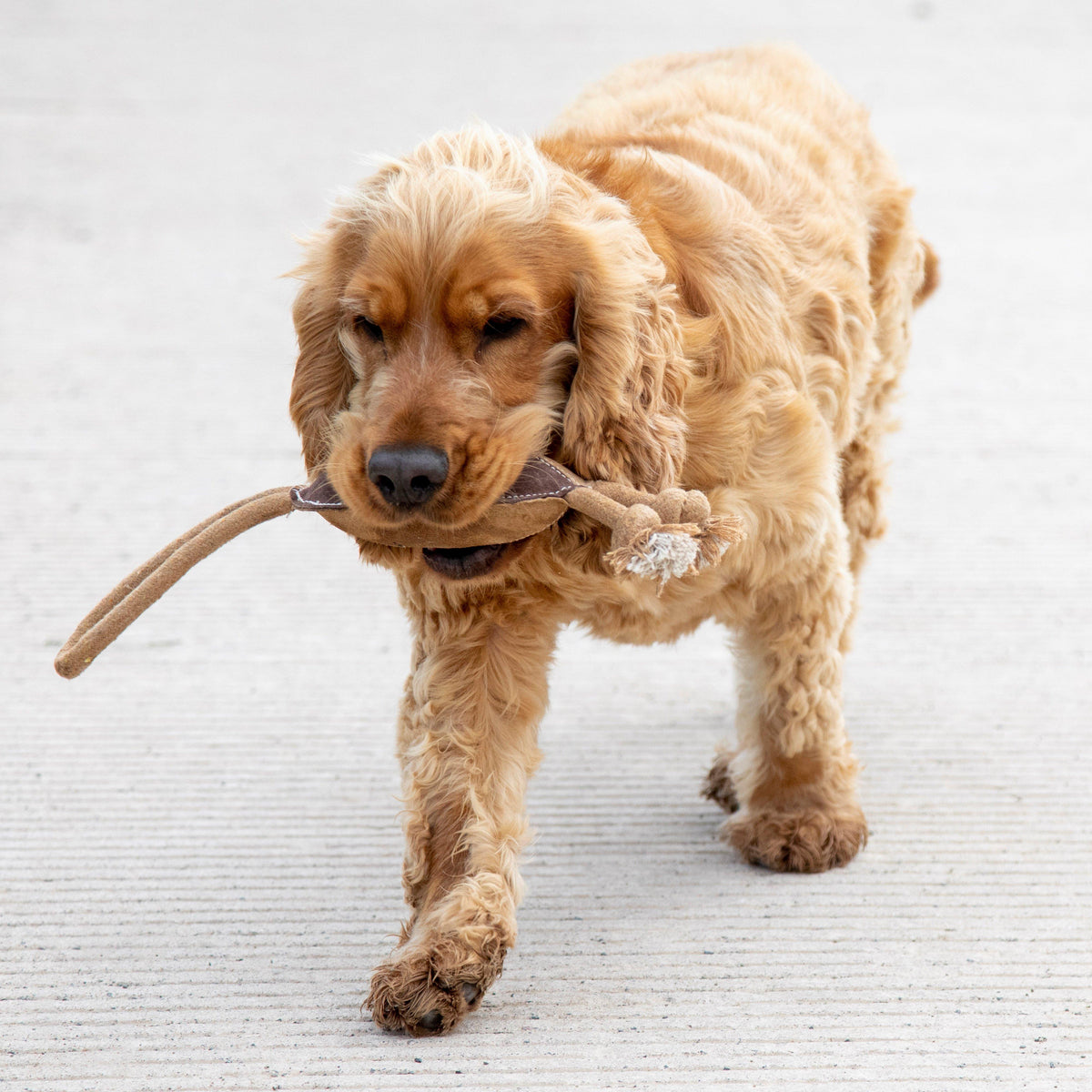 Leather Rugby Ball Toy