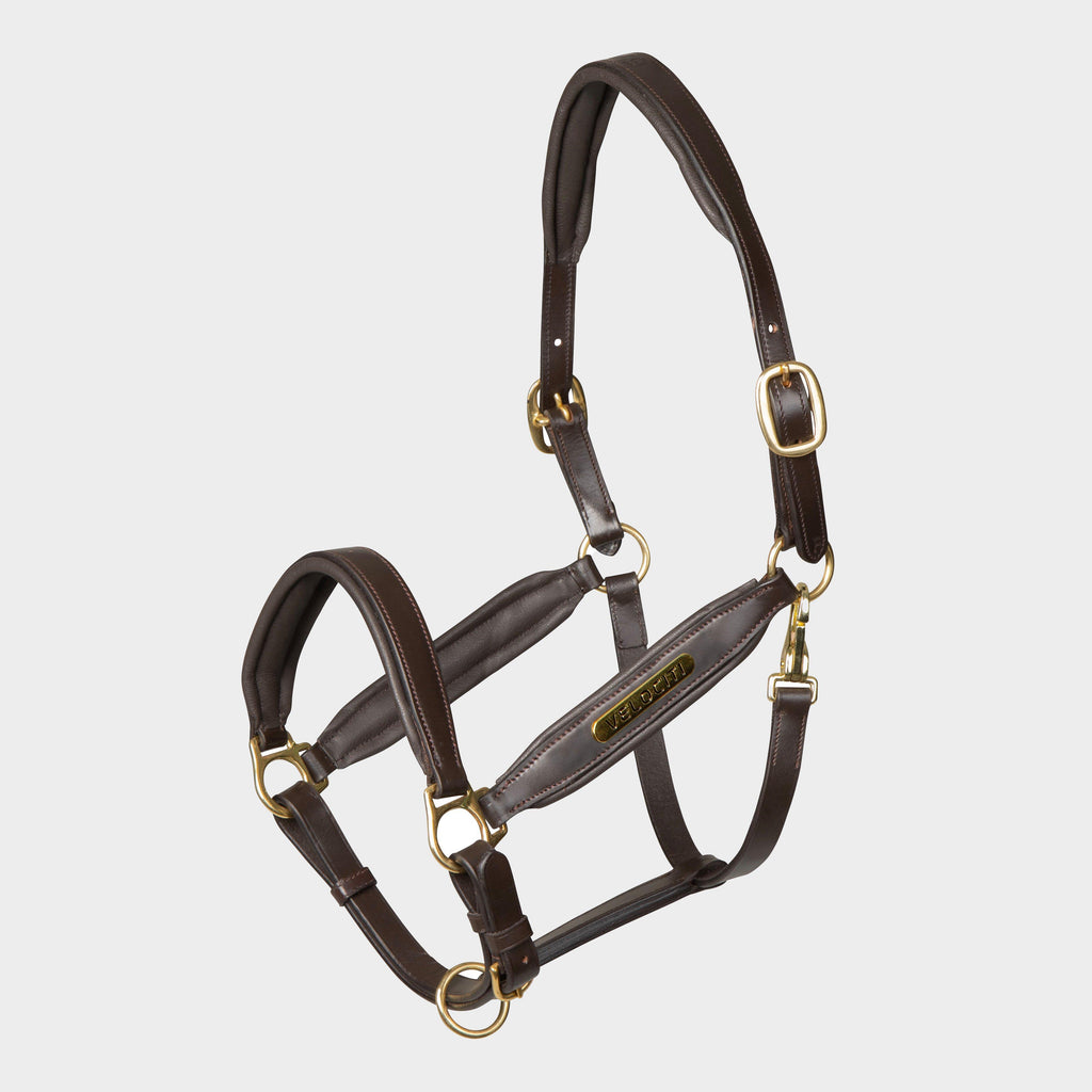 GARA Leather Headcollar Havana.