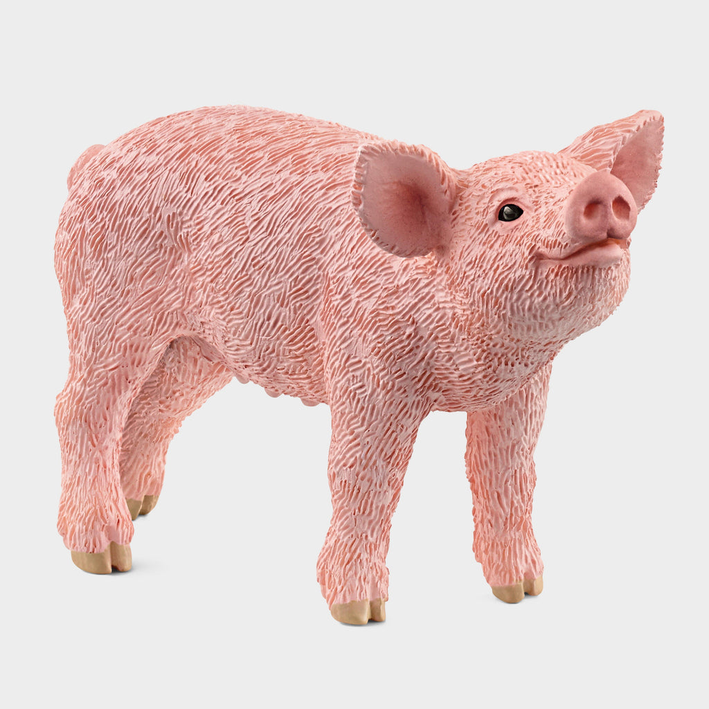 Piglet