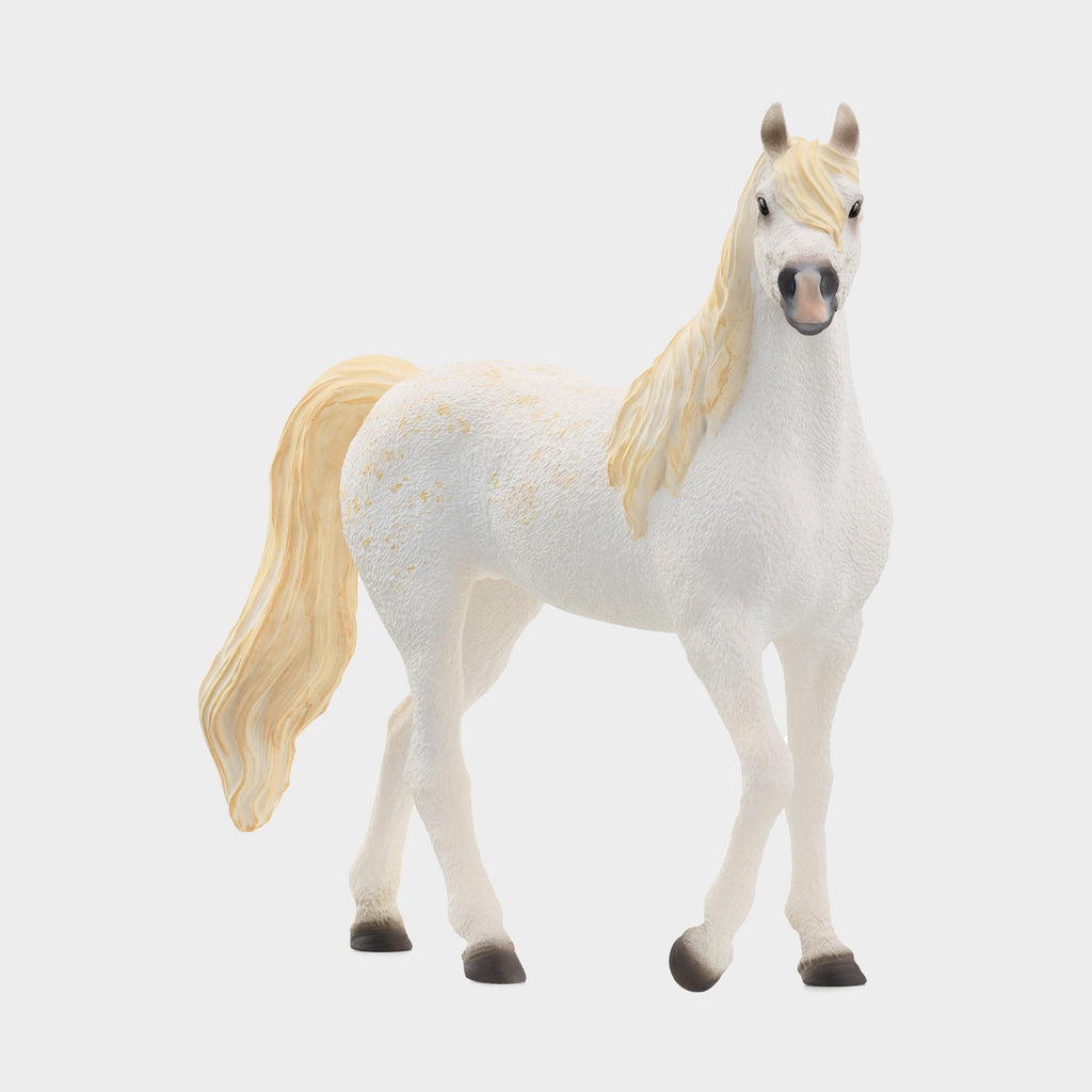 Arabian Mare