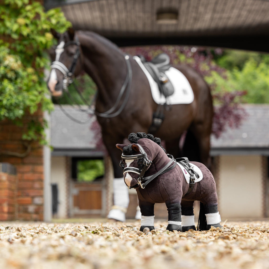 Toy Pony Valegro