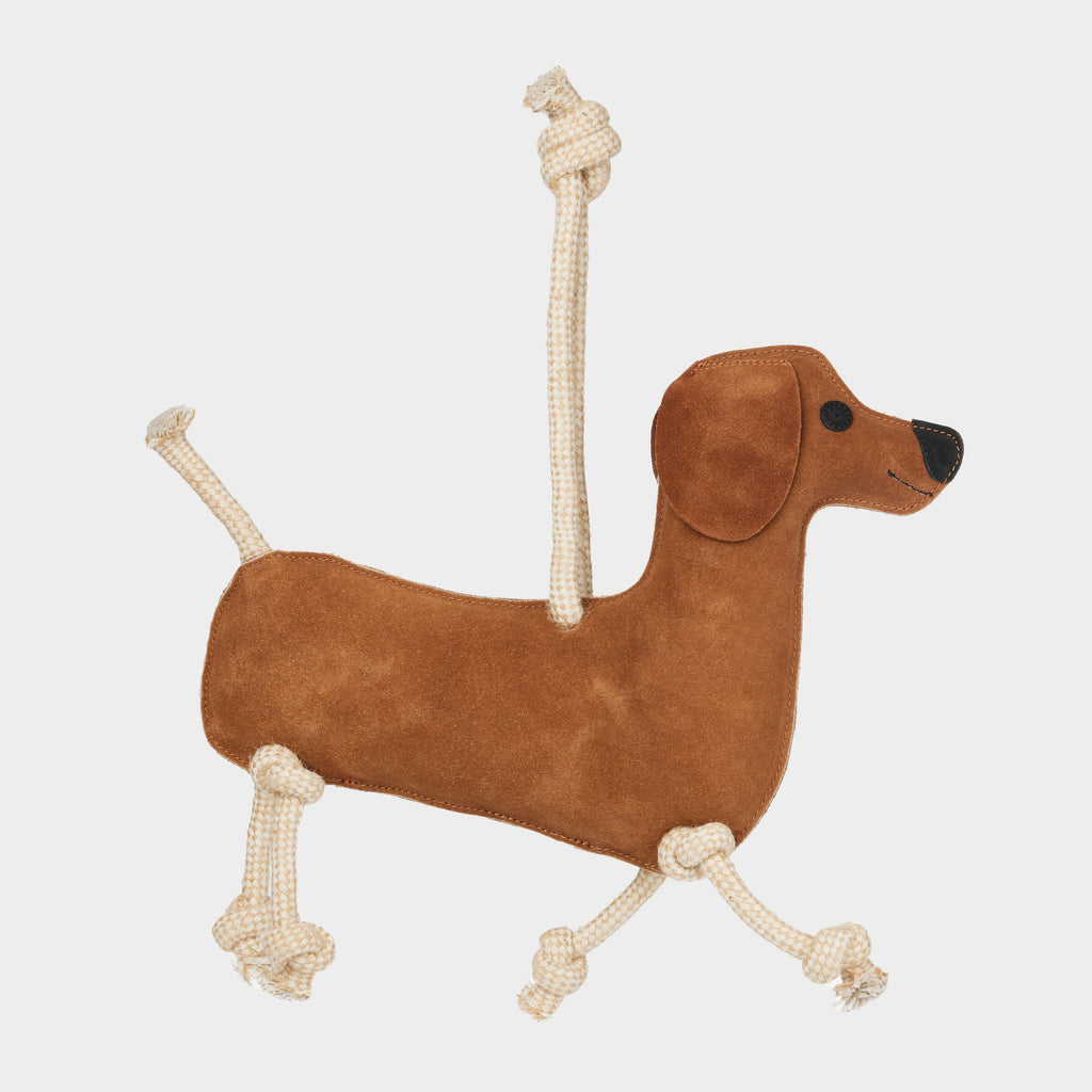 Horse Toy Sausage Dog
